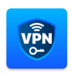 Auto VPN