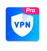 Fort VPN